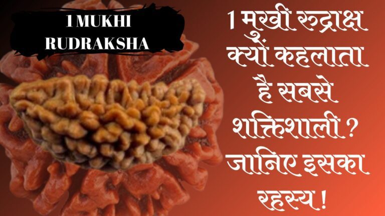 1 Mukhi Rudraksha benifits in hindi