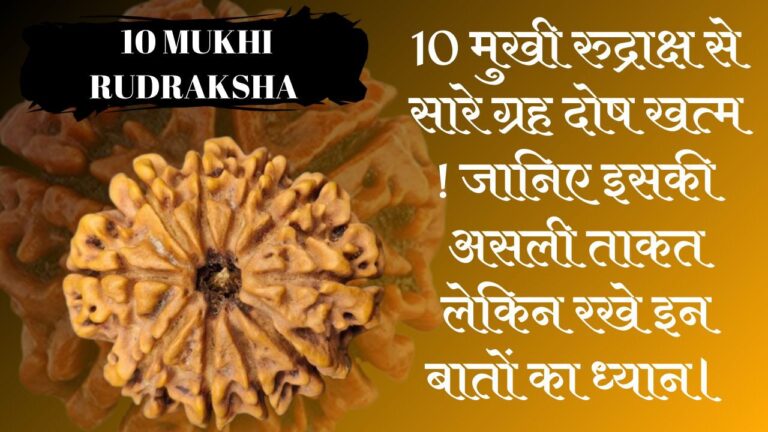 10 mukhi rudraksha benefits hindi