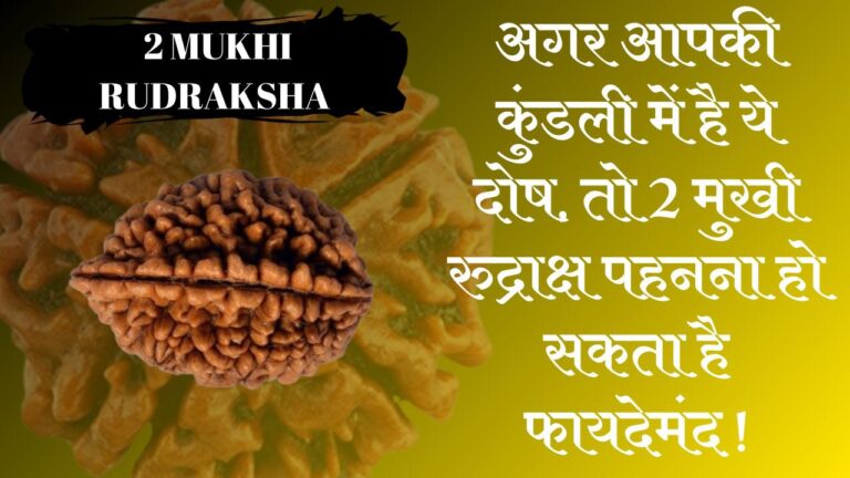 2 मुखी रुद्राक्ष