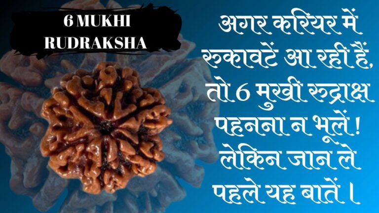 6 मुखी रुद्राक्ष के फायदे