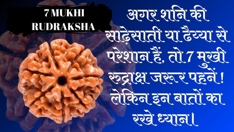 7 mukhi rudraksha benefits hindi