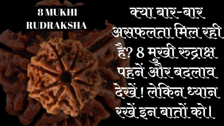 8 mukhi rudraksha benefits hindi