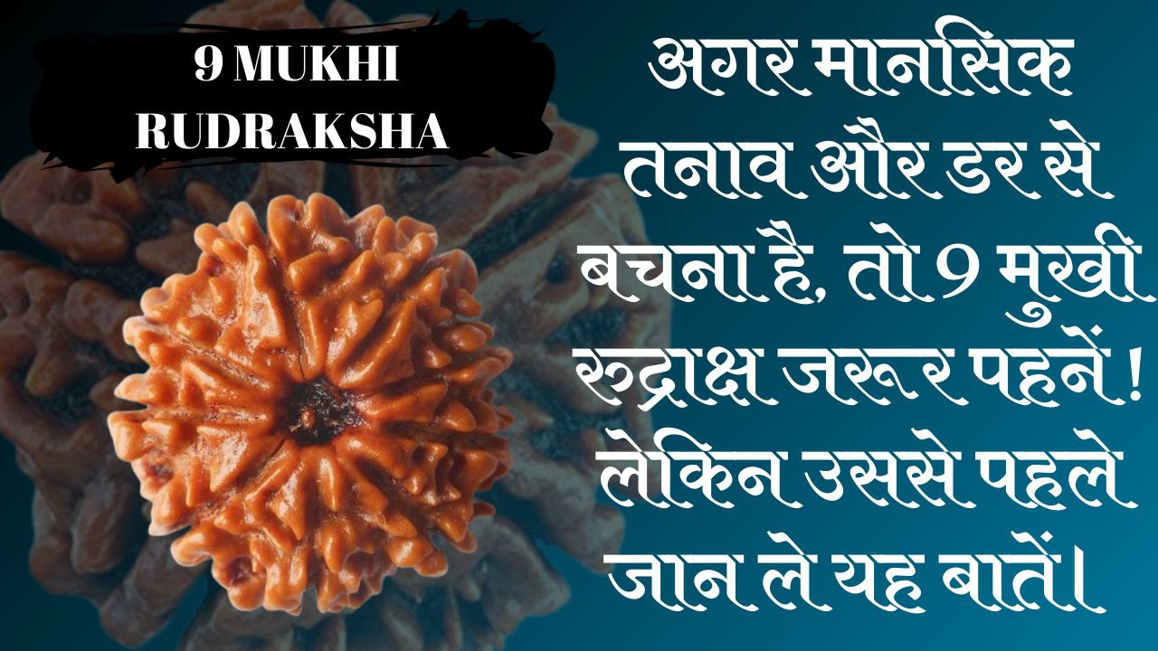 9 mukhi rudraksha benefits hindi